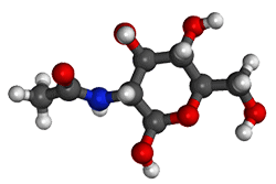Acetilglucosamina