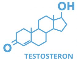 Producción de testosterona