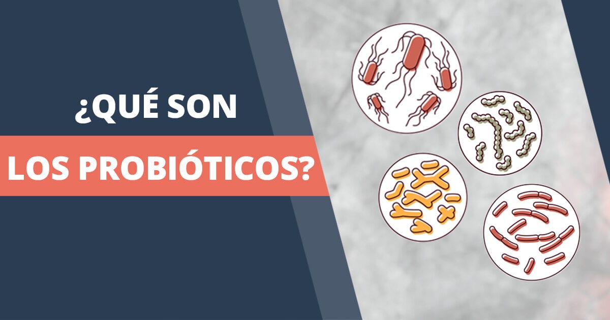 ¿Qué son los probióticos y cómo pueden ayudarte?